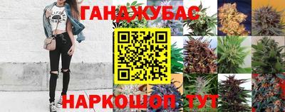 сатива Чебоксары