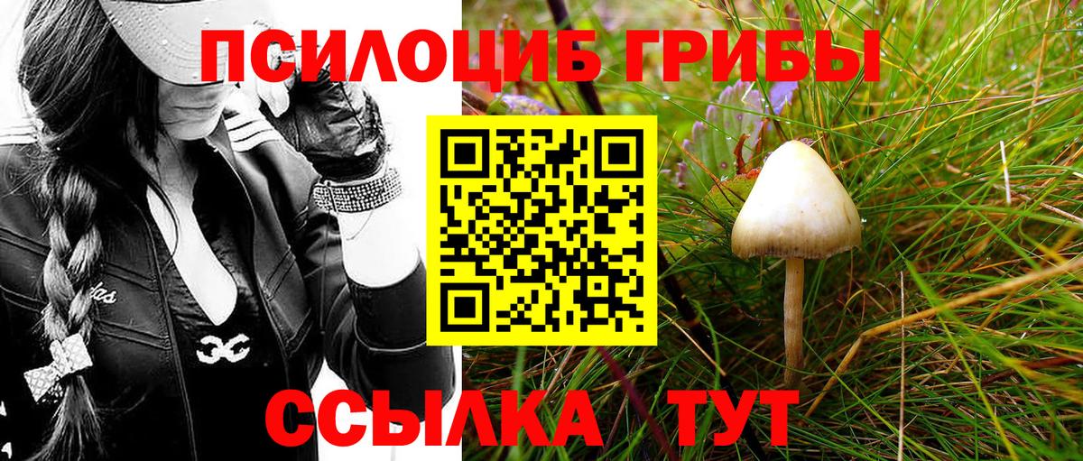 Галлюциногенные грибы ЛСД Лабытнанги