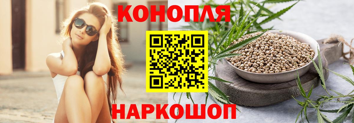 Бошки марихуана OG Kush  Конопля марихуана  Вход с VPN  Бошки Шишки Bruce Banner  Марихуана план  Лабытнанги 